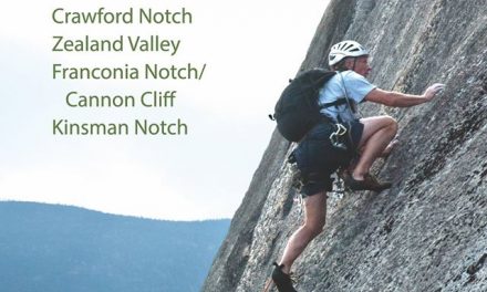 Book Review – The Notches