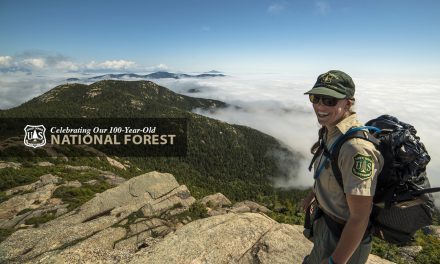 Our 100 Year Old National Forest